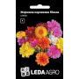 Георгина Пикколо карликовая однолетняя, смесь, семена Leda Agro, 0,2 г