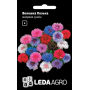 Васильки Полька махровая смесь, семена Leda Agro, 0,5 г