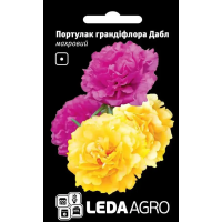 Портулак грандифлора Дабл махровый, фиолетовый и желтый, семена Leda Agro, 0,05 г