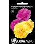Портулак грандифлора Дабл махровый, фиолетовый и желтый, семена Leda Agro, 0,05 г