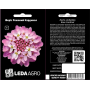 Іберис Розовый Кардинал травянистая однолетка, семена Leda Agro, 0,5 г