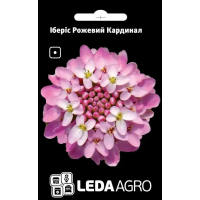 Іберис Розовый Кардинал травянистая однолетка, семена Leda Agro, 0,5 г