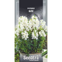 Львиный Зев Белый крупноцветный однолетний куст, семена SeedEra, 0,2 г