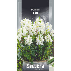 Львиный Зев Белый крупноцветный однолетний куст, семена SeedEra, 0,2 г