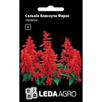 Сальвия блестящая Фарао красная, семена Leda Agro, 0,05 г