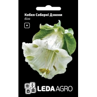 Кобея Соборные Колокола белая, декоративная лиана, семена Leda Agro, 0,2 г