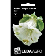 Кобея Соборные Колокола белая, декоративная лиана, семена Leda Agro, 0,2 г