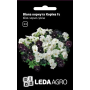 Виола корнута Корина F1 бело-черная смесь, семена Leda Agro, 10 шт