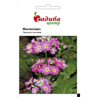 Примула Малакоідес лососева дворічна, насіння Садиба, 0,01 г