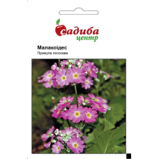 Примула Малакоидес лососевая двухлетняя, семена Садиба, 0,01 г