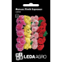 Мальва Летний Карнавал смесь, семена Leda Agro, 0,2 г