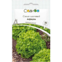Салат батавия Афицион, семена Садиба, 30 шт
