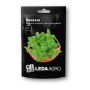 Базилик Боназза зеленый, семена Leda Agro, 10 г
