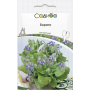 Бораго (огуречная трава), семена Садиба, 1 г
