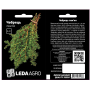 Чебрець (тим'ян), насіння Leda Agro, 0,2 г