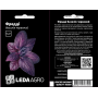Базилик Фредди красный, ароматный, декоративный сорт, семена Leda Agro, 0,3 г