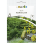Кріп Грибовський, насіння Садиба, 10 г