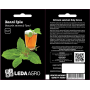Базилик Холли Грин зеленый, ароматный лечебный сорт, семена Leda Agro, 0,3 г