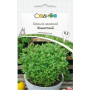 Базилик Комнатный зеленый, семена Seed Era, 0,5 г