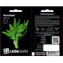 Руккола Колтивей, семена Leda Agro, 1 г