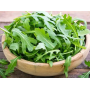 Руккола Колтивей, семена Leda Agro, 1 г