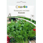 Петрушка Коммон, семена Садиба, 10 г