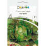 Салат Ла Чука, семена Садиба, 5 г