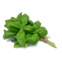 Лимонный базилик Лимонетте, семена Leda Agro, 0,5 г