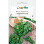 Марокканская кинза (кориандр), семена Садиба, 3 г