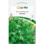 Кинза (кориандр) Нектар, семена Садиба, 3 г