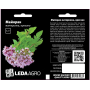 Орегано Майоран, семена Leda Agro, 0,1 г