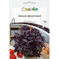 Базилик фиолетовый, семена Садиба, 10 г