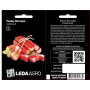 Ревень Виктория красный, семена Leda Agro, 0,15 г