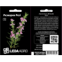 Розмарин Рози, семена Leda Agro, 0,03 г