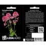Валериана Рубер красная, семена Leda Agro, 0,05 г