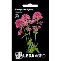 Валериана Рубер красная, семена Leda Agro, 0,05 г