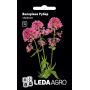 Валериана Рубер красная, семена Leda Agro, 0,05 г