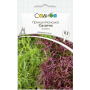 Горчица японская Салатная смесь, Садиба, 0,5 г