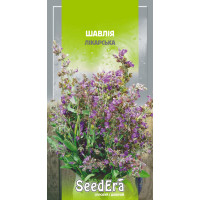 Шалфей Лекарственный, семена Seed Era, 0,3 г