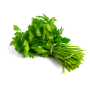 Кориандр (кинза) Слоуболт, семена Leda Agro, 2 г