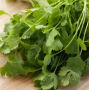 Кориандр (кинза) Слоуболт, семена Leda Agro, 2 г