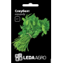 Кориандр (кинза) Слоуболт, семена Leda Agro, 2 г