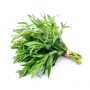 Тархун (естрагон), насіння Leda Agro, 0,1 г