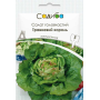 Салат головчастый Майский король, насіння Садиба, 5 г