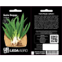 Лук Байа Верде на перо, семена Leda Agro, 100 шт