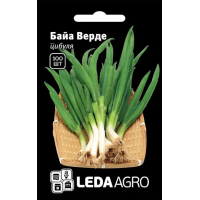 Лук Байа Верде на перо, семена Leda Agro, 100 шт