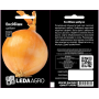 Лук Эксибишн салатная, семена Leda Agro, 100 шт