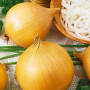 Лук Эксибишн салатная, семена Leda Agro, 100 шт
