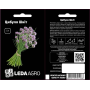 Лук Шнит на перо, семена Leda Agro, 1 г