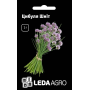Лук Шнит на перо, семена Leda Agro, 1 г